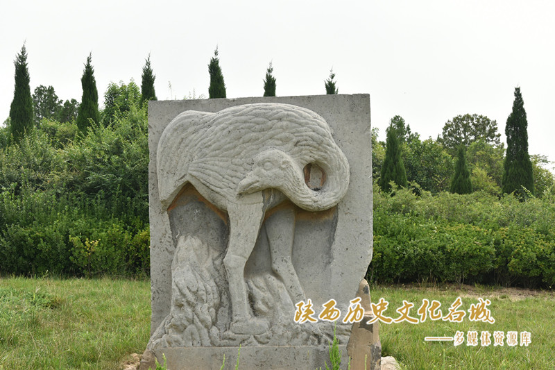 桥陵石刻鸵鸟（东）