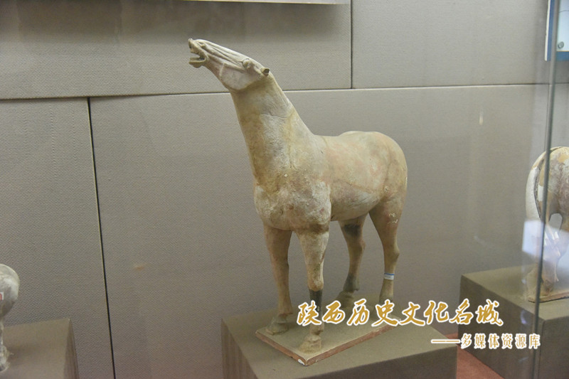 唐粉彩长鸣马