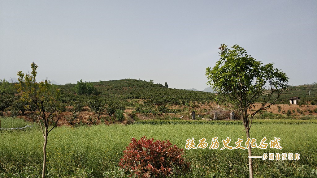 赤土岭遗址