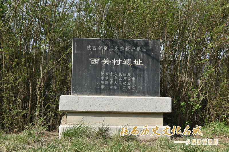 西关村遗址
