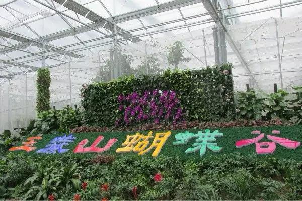 玉燕山蝴蝶谷