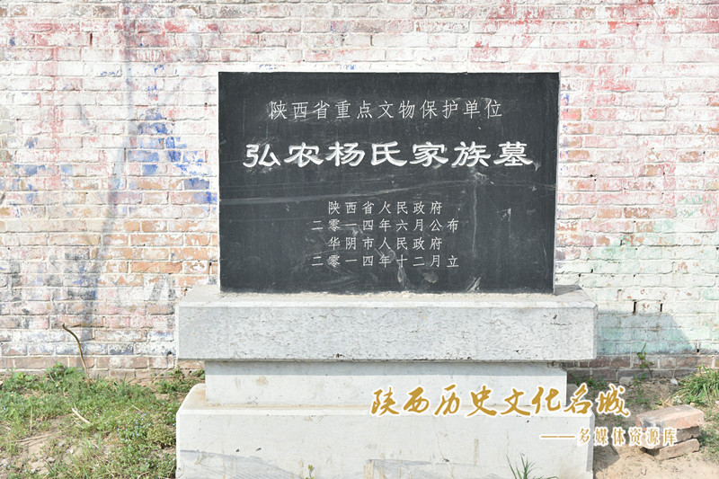 杨氏家族墓