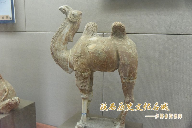 唐彩绘骆驼