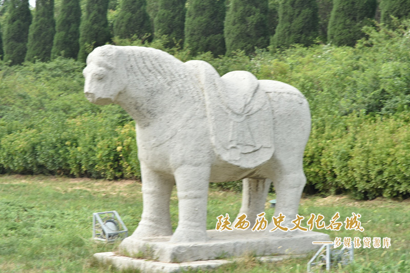 桥陵西侧石马 (2)