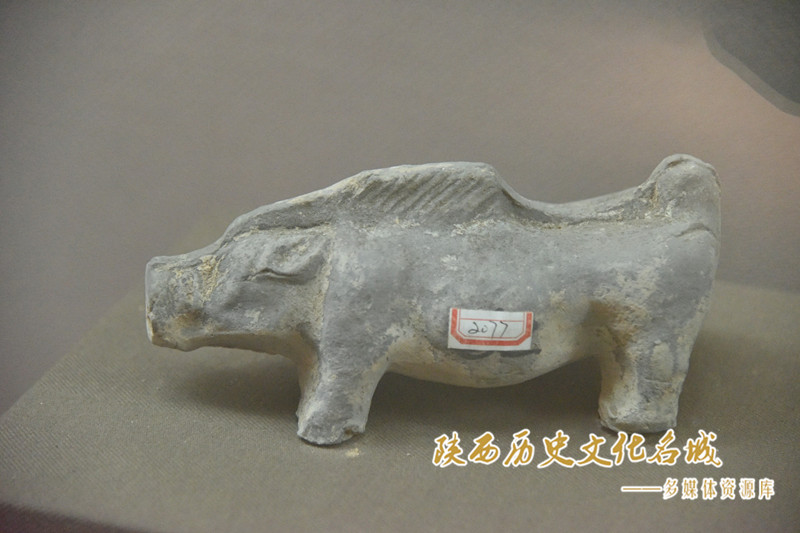汉灰陶猪