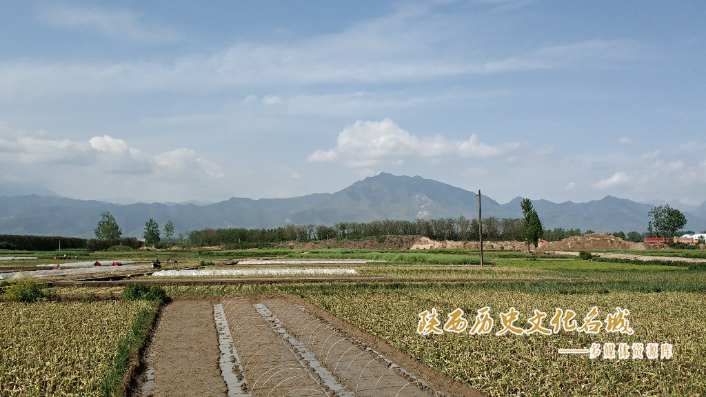 杨寨遗址