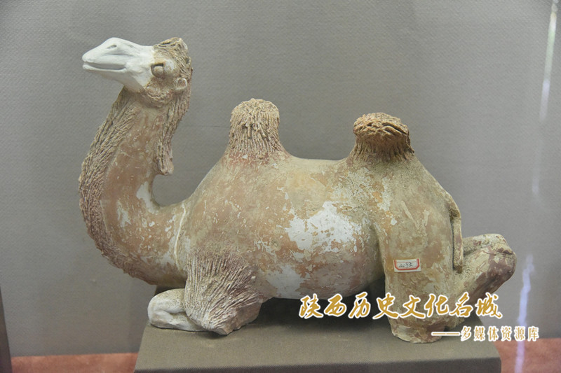 唐彩绘卧驼