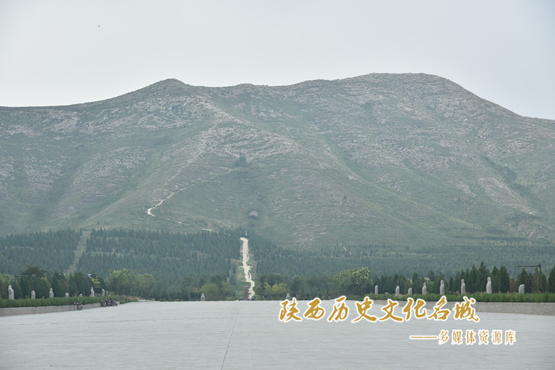 泰陵