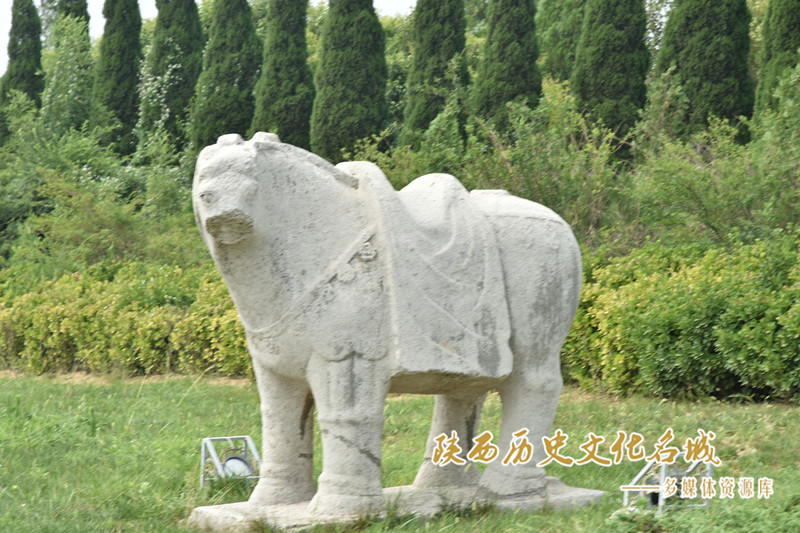 桥陵西侧石马 (3)