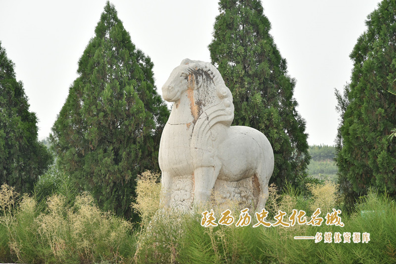 泰陵石刻立马