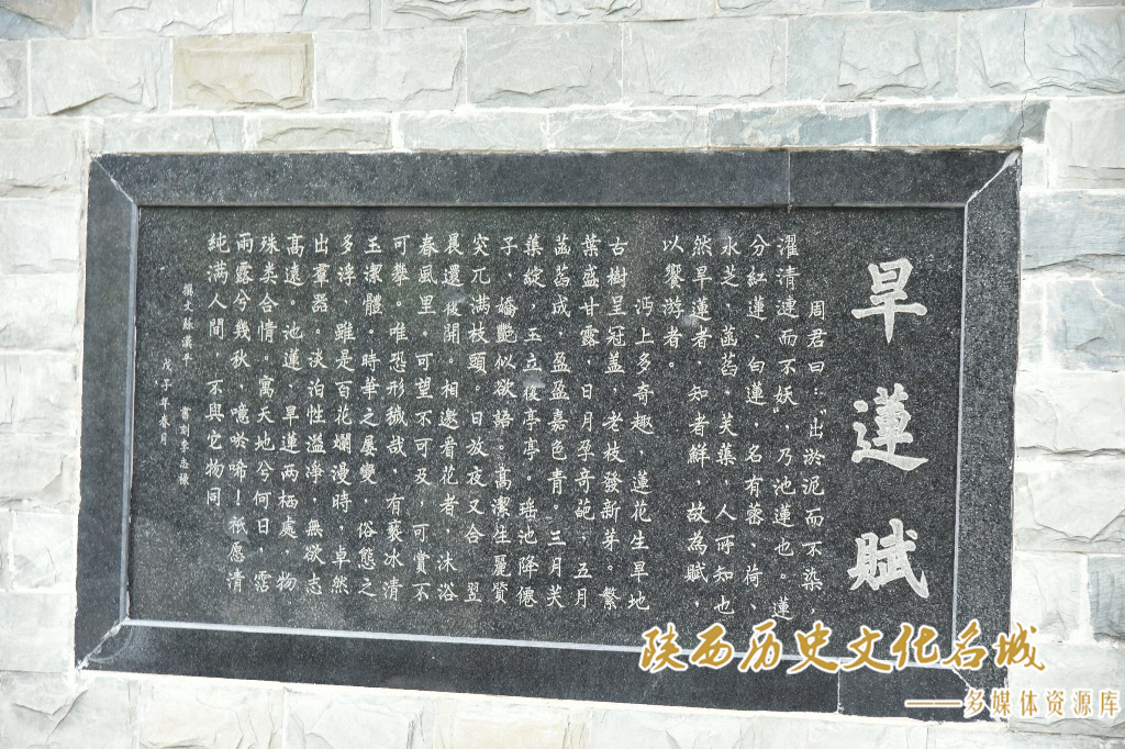 旱莲赋 碑刻