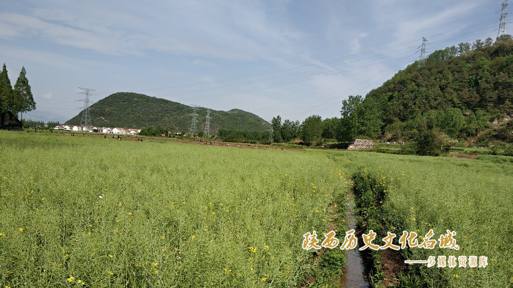 王儿沟遗址