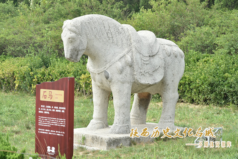桥陵西侧石马 (4)