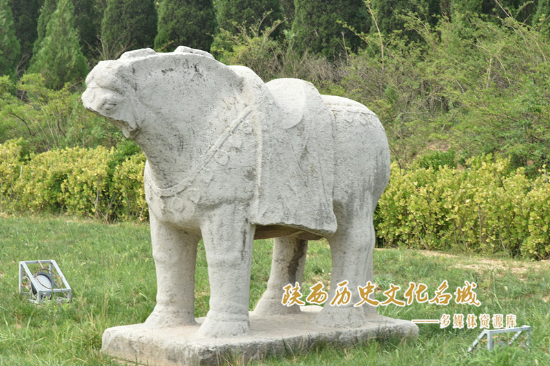 桥陵西侧石马 (1)