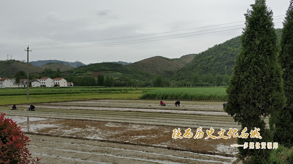 牟营遗址