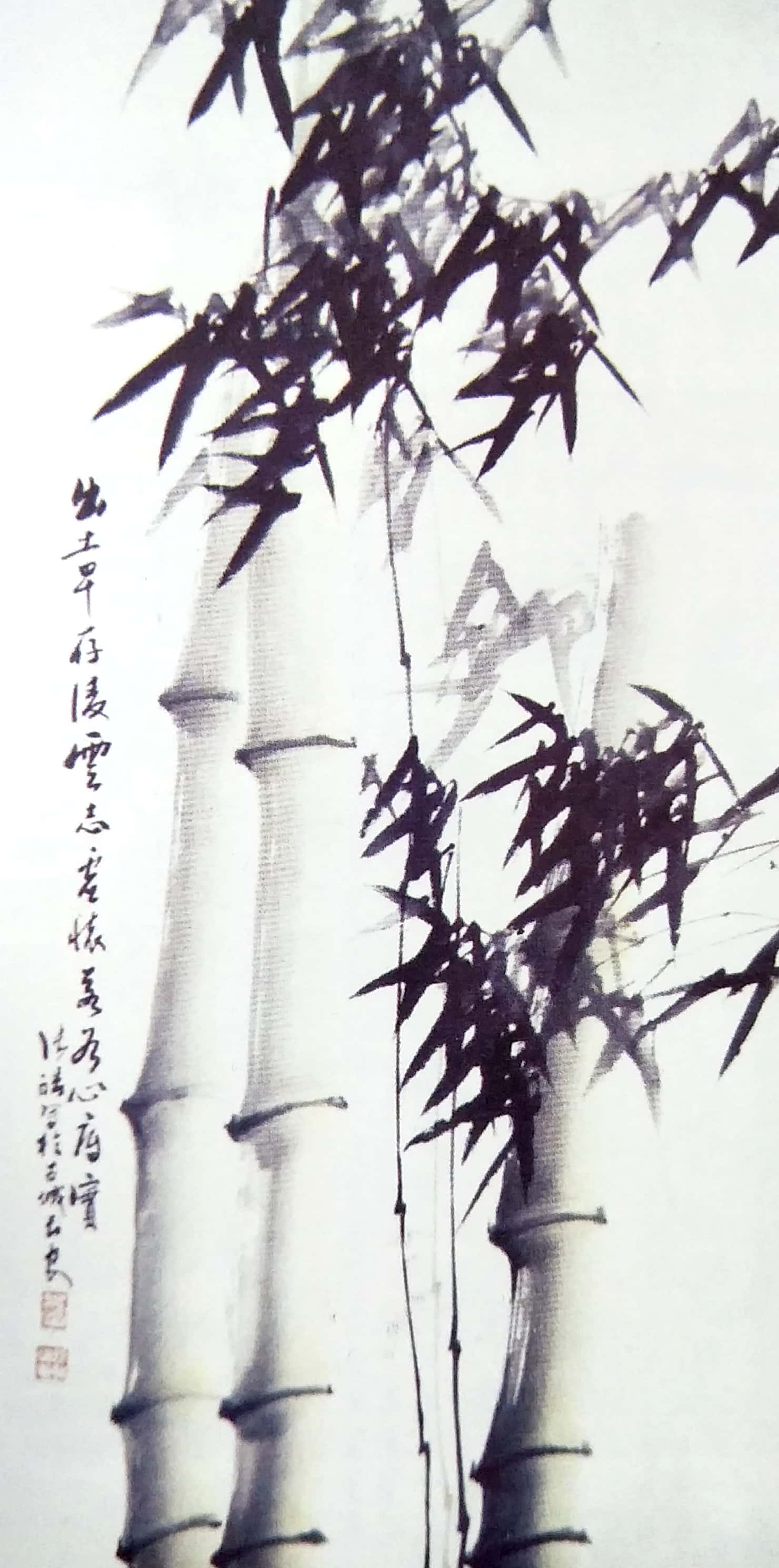 张皓国画